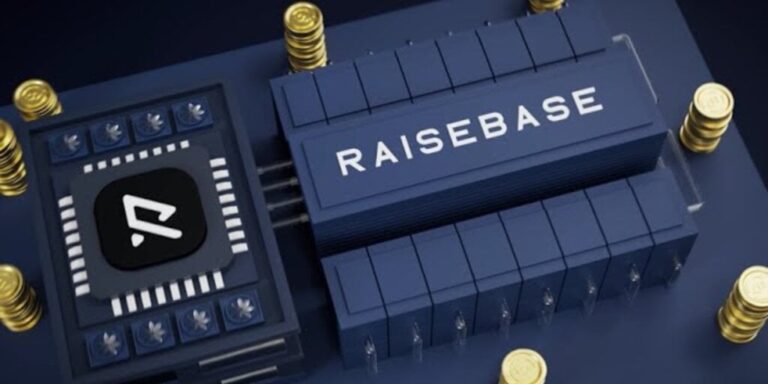 raisebase gID 7