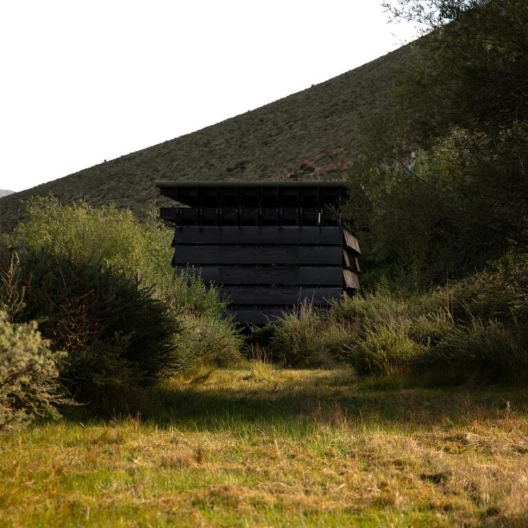 omno lab shannan beehive architecture 1330x1330 1 852x852