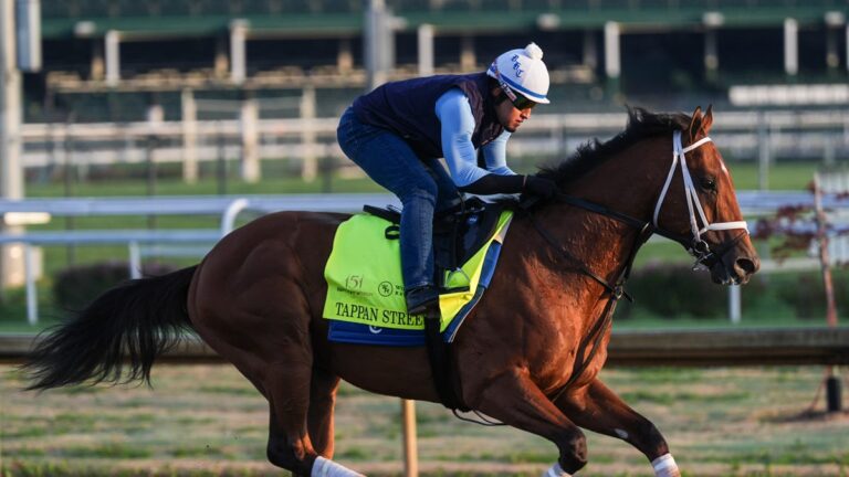 83219815007 derby training 422 5