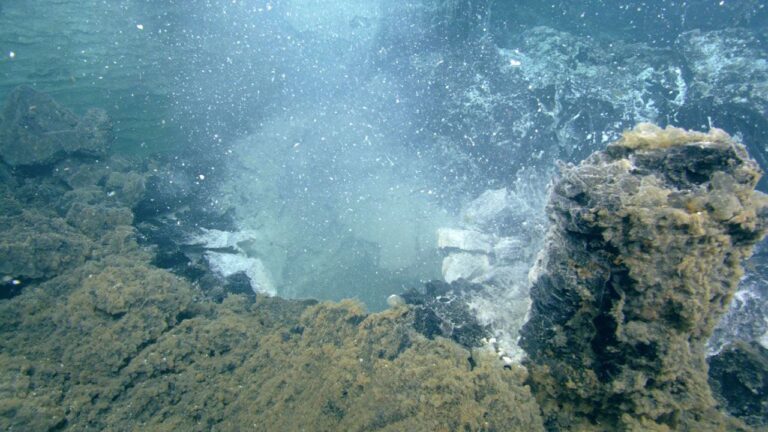 axial seamount1